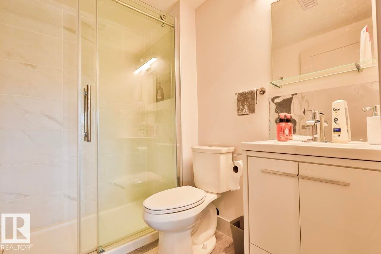 Lower level bathroom with glass shower