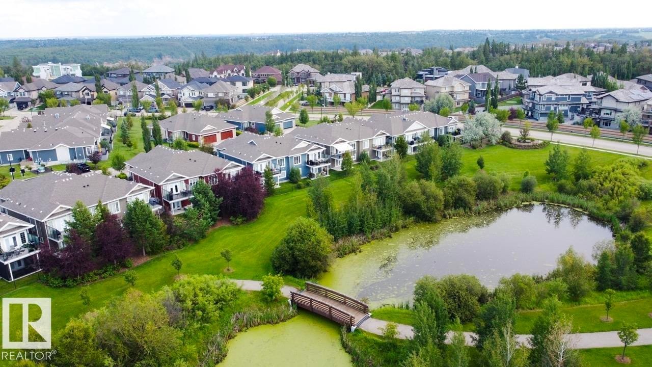 Aerial view of the pond and footbridge