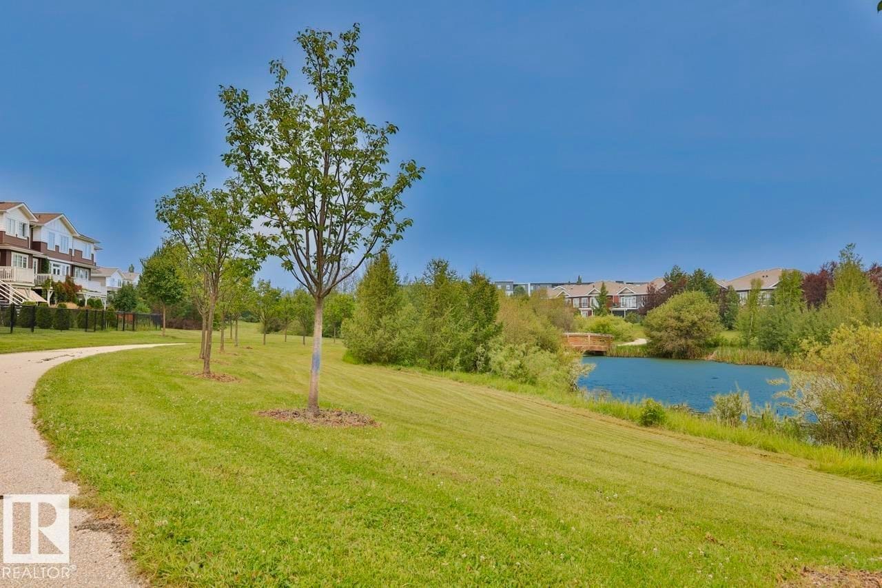 Green space with the pond beyond